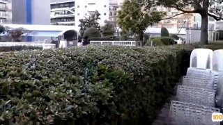 18禁看精品处破学生在线观看